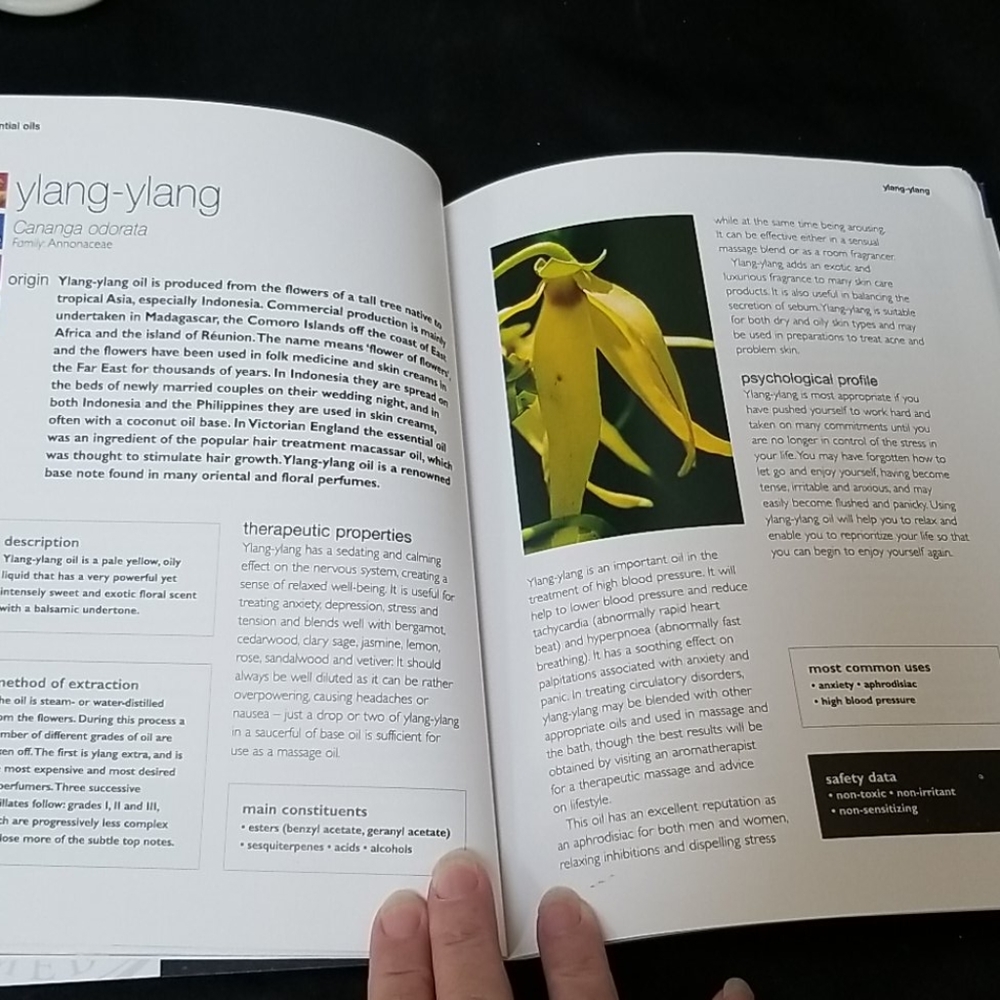 📗ESSENTIAL OILS BOOK - Picture 5 of 9